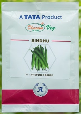 Sindu| Tata| Sponge Gaurd| 10g